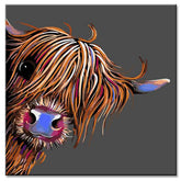 Painting by Numbers Highland Cattle Head Colorful